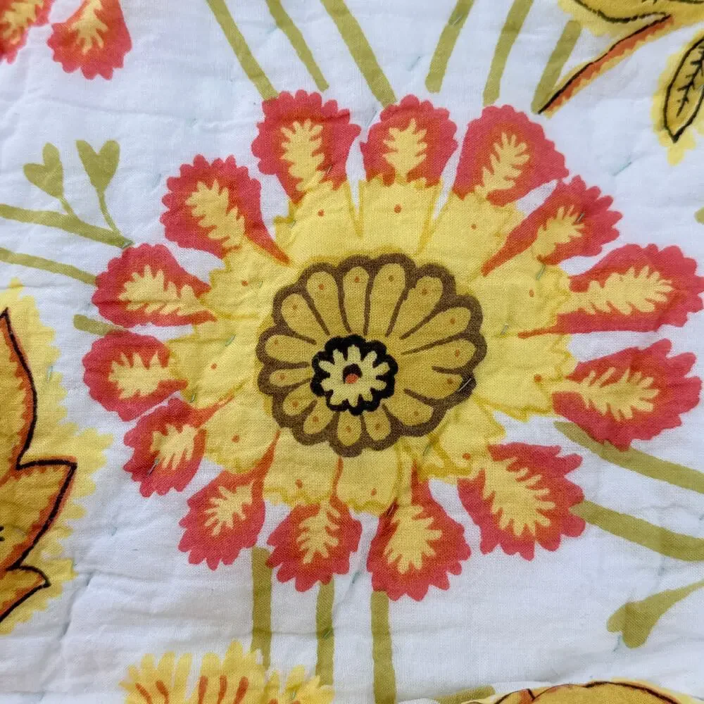 Pottery Barn Foundations Set of 2 Euro Shams Reversible Floral Quilted 25